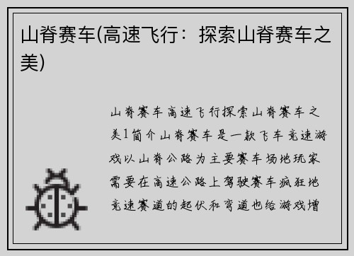 山脊赛车(高速飞行：探索山脊赛车之美)